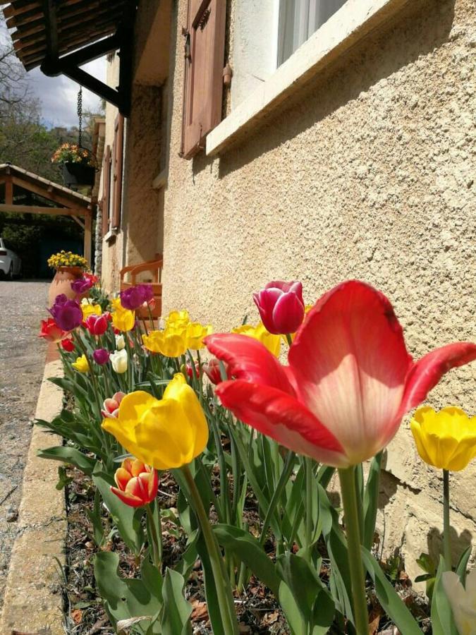 Maison 3 Etoiles Avec Jardin Pour Familles, Sportifs, Curistes... Digne-les-Bains Exteriör bild